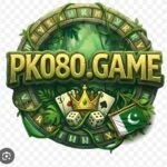 Pk080 Game
